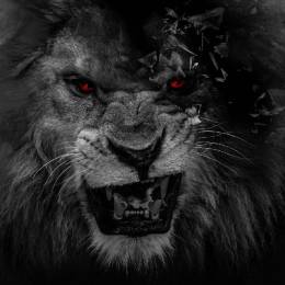 SPIRIT 40 RUS's avatar