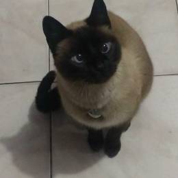 Nataliia's avatar