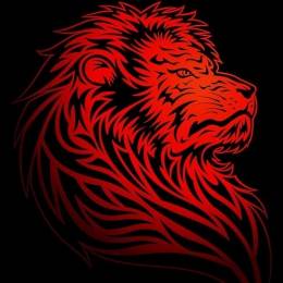 ALCRY's avatar