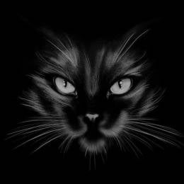 Sticky's avatar