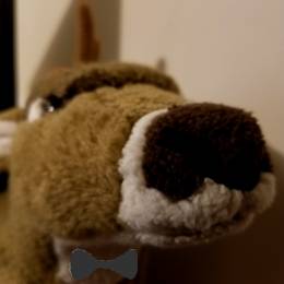 TeamDeer's avatar