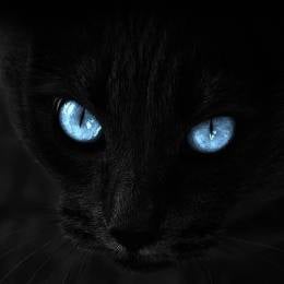 c0de's avatar