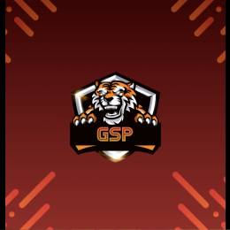 Gsp_ (GER)'s avatar