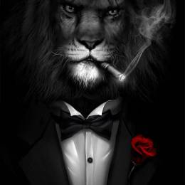 Mack_Qc's avatar