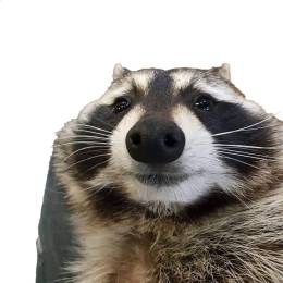 VΛβIS's avatar