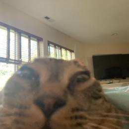 kubiik.'s avatar