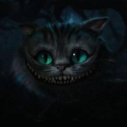 Papillon89's avatar