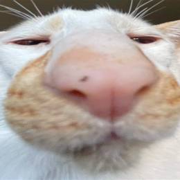 .Filip's avatar
