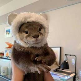 Speedy0815's avatar
