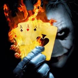 Wied's avatar