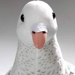 bruc113's avatar
