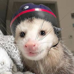 Laggy_Potato's avatar