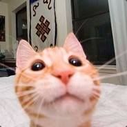bogs97's avatar