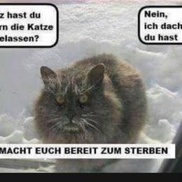 [GER] Zerr0's avatar