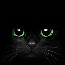 DarkScream's avatar