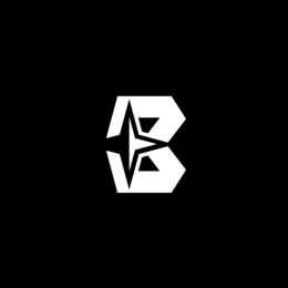 Bolorer's avatar