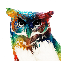Hoot Hoot's avatar