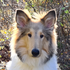 WellyWoof's avatar