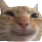 SiinMusic's avatar