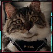 pixєl's avatar