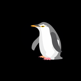 Kubuntu's avatar
